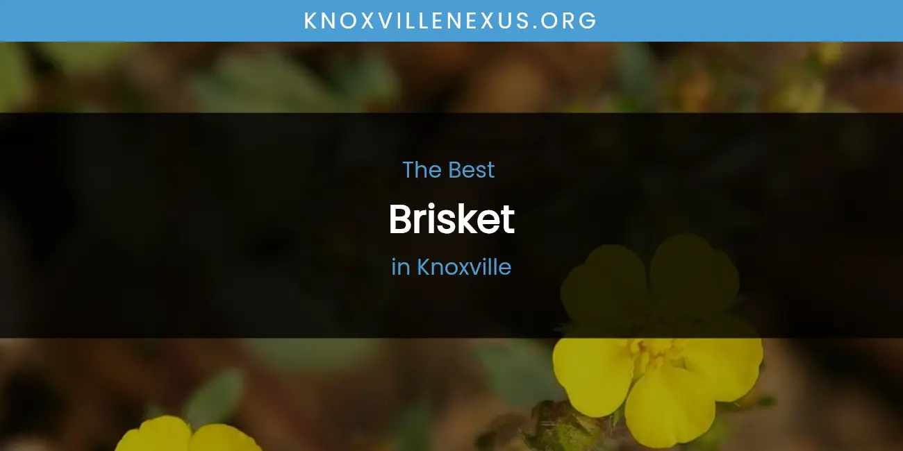 Knoxville's Best Brisket featured
