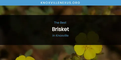 Knoxville's Best Brisket