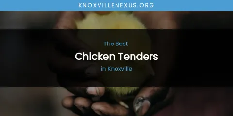Knoxville's Best Chicken Tenders