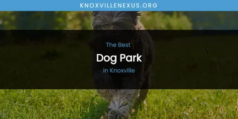 Knoxville's Best Dog Park